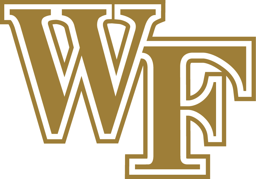 Wake Forest Demon Deacons 2007-Pres Alternate Logo iron on transfers for T-shirts